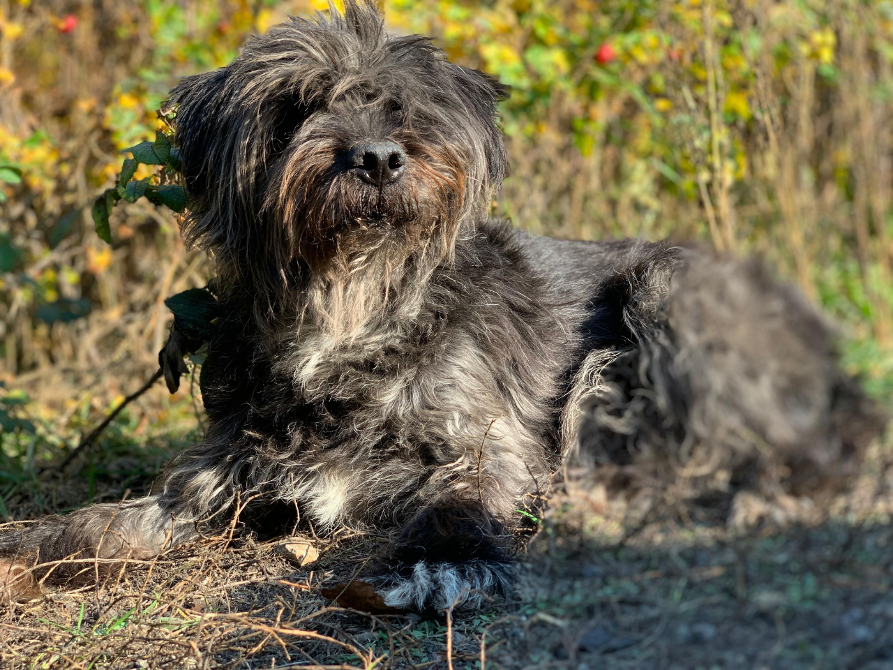 Mały(sz)